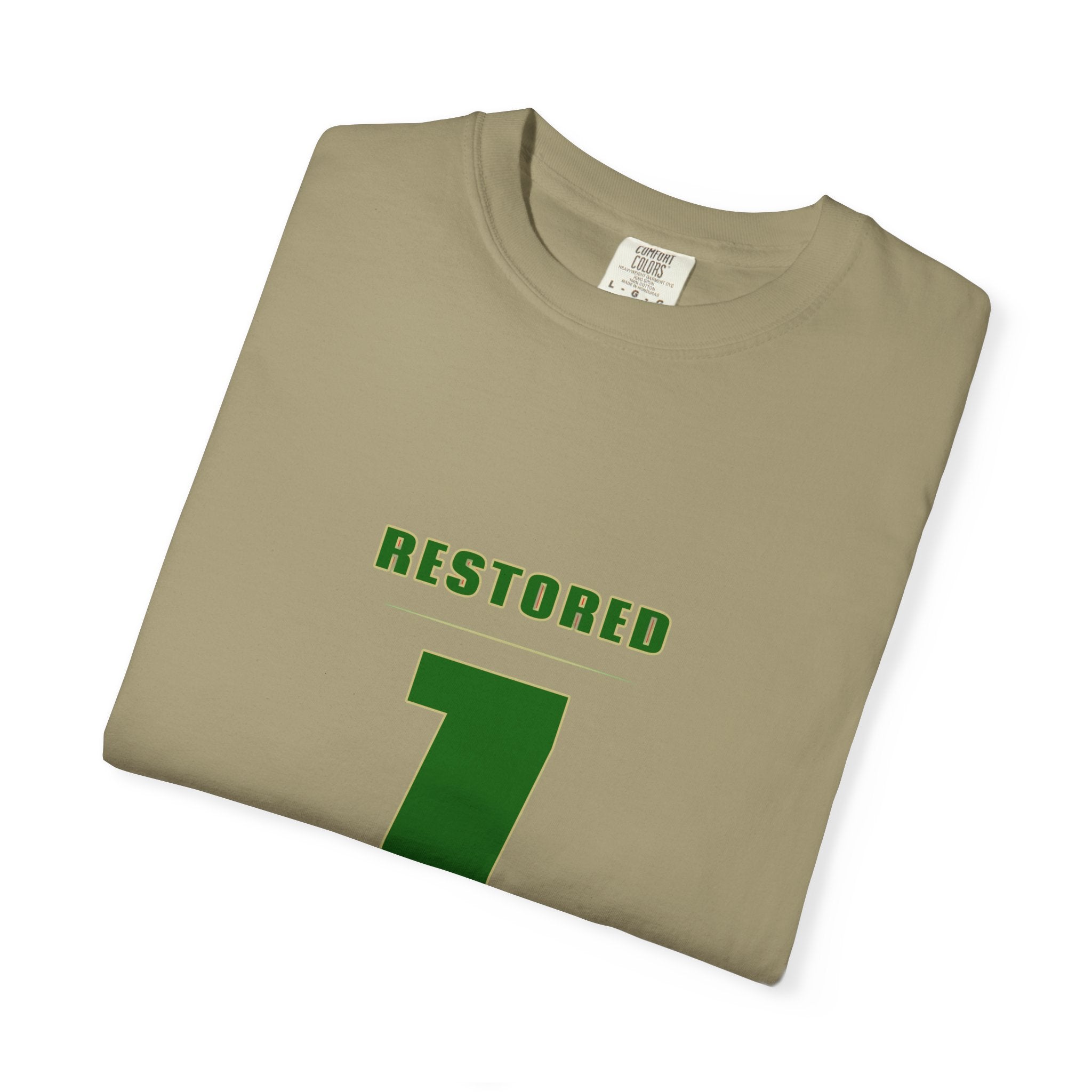 Restored 1 T-Shirt — Athletic Vintage Jersey Style Tee